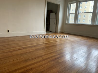 Allston/brighton Border Apartment for rent Studio 1 Bath Boston - $2,100