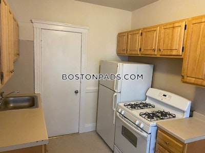 Brighton Apartment for rent 1 Bedroom 1 Bath Boston - $2,300 No Fee