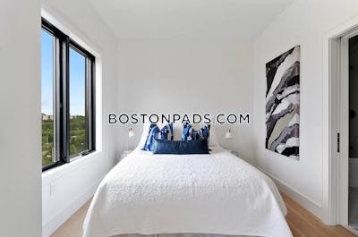 Brighton Apartment for rent 2 Bedrooms 2 Baths Boston - $4,895 No Fee