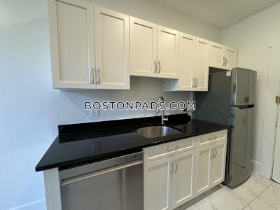 Brighton Apartment for rent 1 Bedroom 1 Bath Boston - $2,990 No Fee