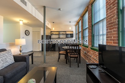 Waltham Apartment for rent 1 Bedroom 1 Bath - $3,000