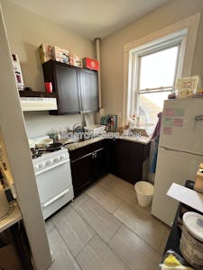 Allston Apartment for rent 1 Bedroom 1 Bath Boston - $2,750