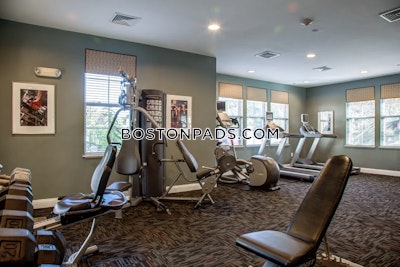 Lynnfield Apartment for rent 1 Bedroom 1 Bath - $2,411 No Fee