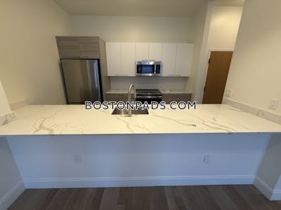 Allston 2 bedroom 2 baths in BOSTON Boston - $3,600 No Fee