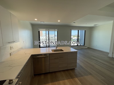 Allston Apartment for rent 2 Bedrooms 2.5 Baths Boston - $3,850 No Fee