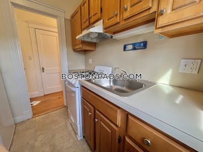 Allston Apartment for rent Studio 1 Bath Boston - $1,995 No Fee