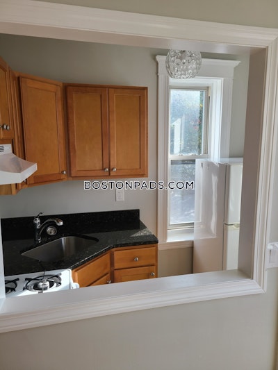 Allston Apartment for rent 1 Bedroom 1 Bath Boston - $2,400