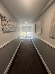 Cambridge Apartment for rent 2 Bedrooms 1 Bath  Mt. Auburn/brattle/ Fresh Pond - $2,950 No Fee