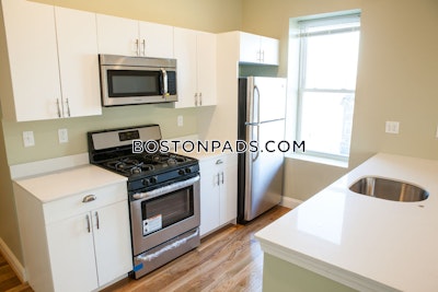Roxbury Apartment for rent 4 Bedrooms 2 Baths Boston - $3,700
