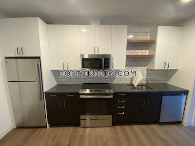 Allston Apartment for rent 1 Bedroom 1 Bath Boston - $3,671 No Fee