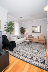 Brookline Apartment for rent 2 Bedrooms 1 Bath Brookline Village - $7,000