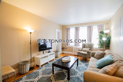 Brighton Apartment for rent 1 Bedroom 1 Bath Boston - $4,400