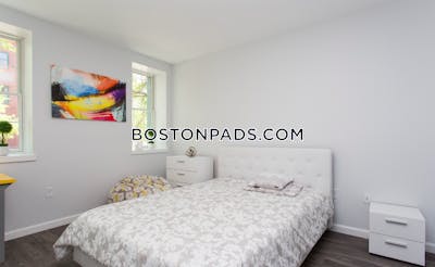 Brighton Apartment for rent 1 Bedroom 1 Bath Boston - $3,200